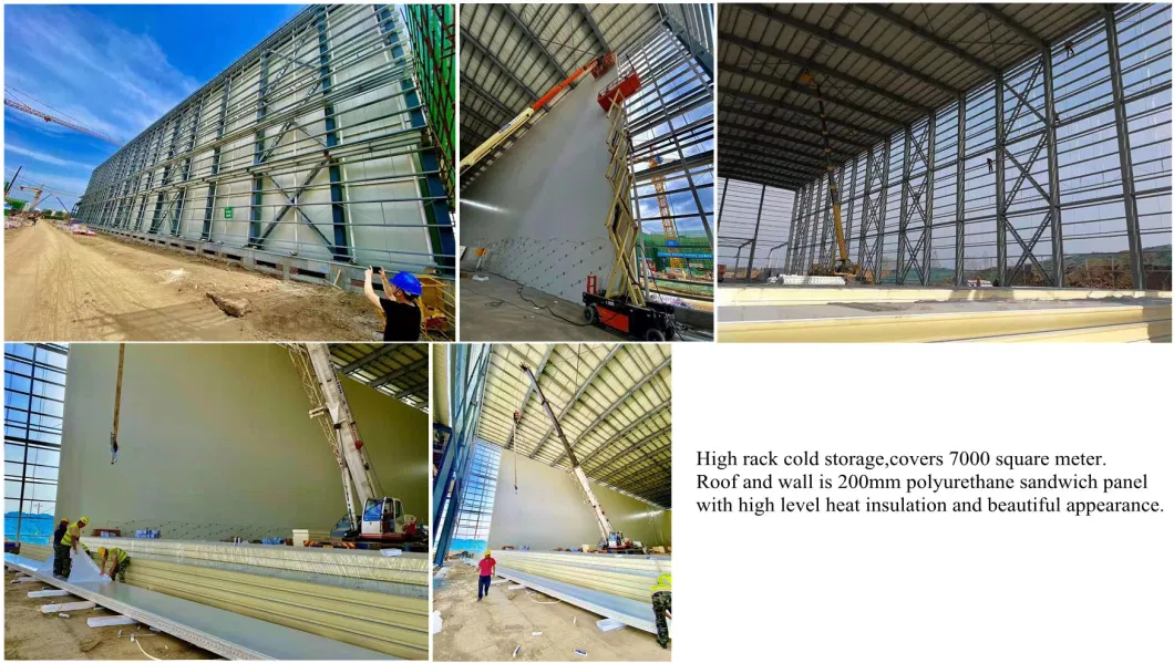 Prefabricated House Construction Steel Building Material Model Building Steel Workshop Hangar Warehouse Prefab Shopping Mall Prefabricated Steel Structure