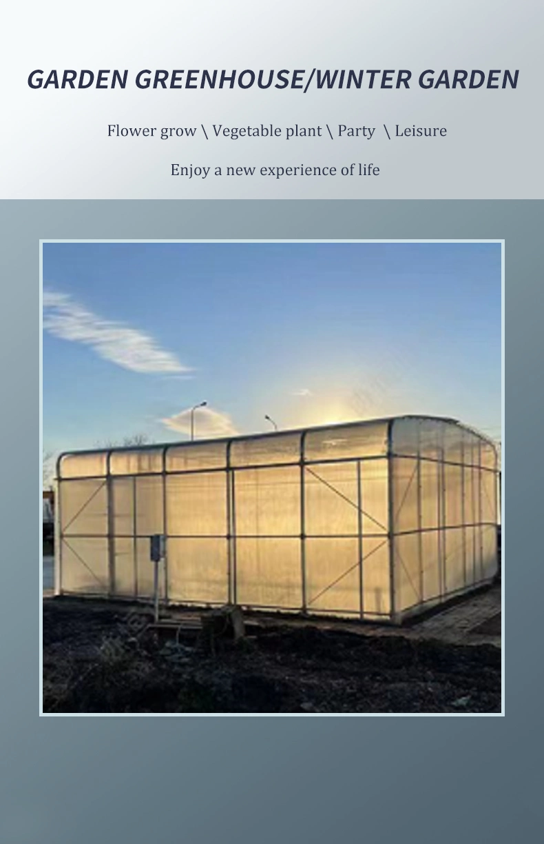 WMGH030 Farming Singlespan Tunnel Greenhouse Hydroponic Growing System