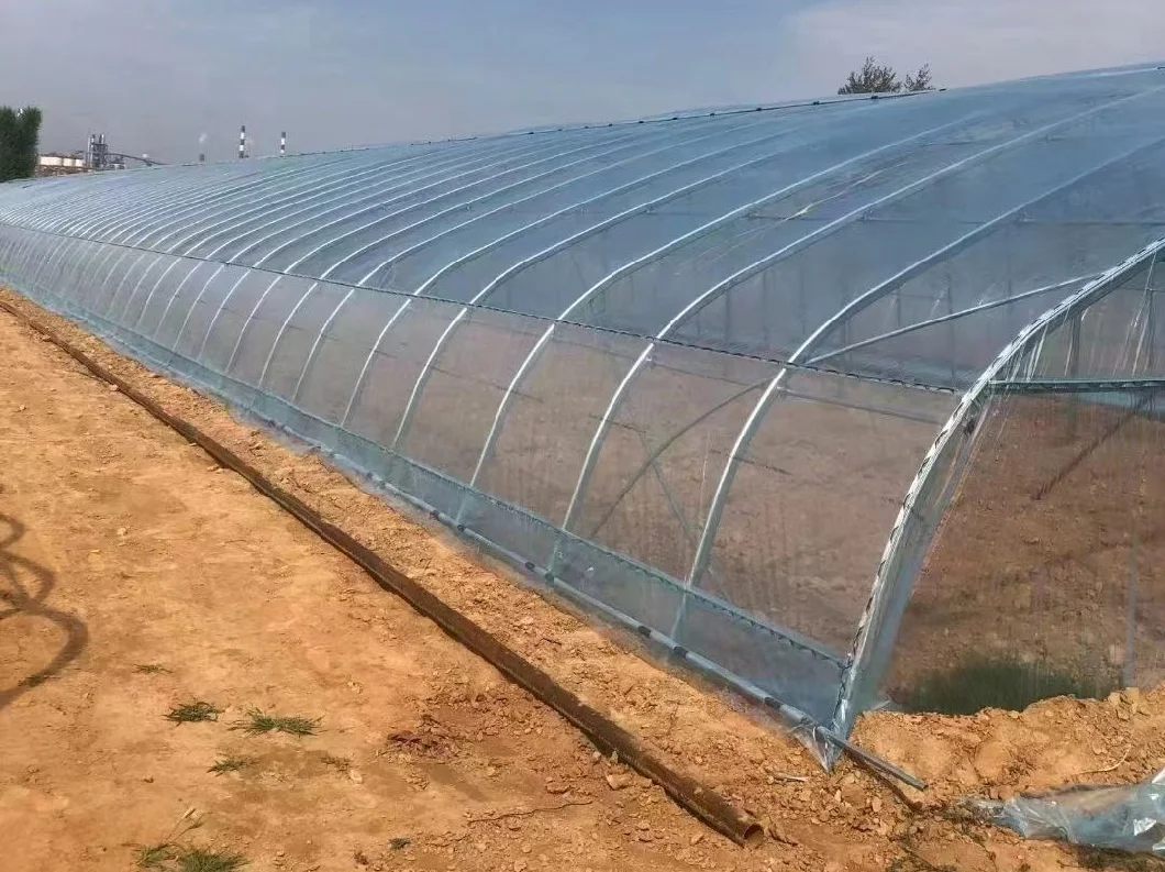 Commercial Greenhouse Film Greenhouse and Cooling System