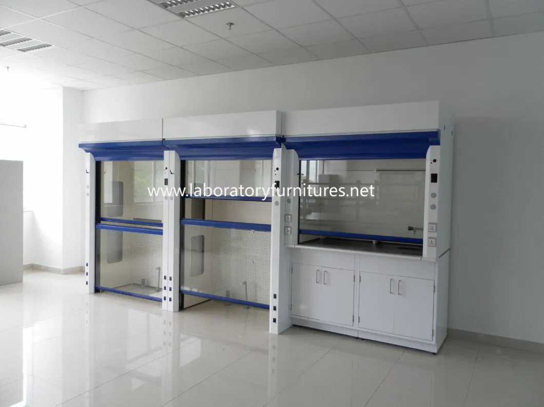 Cav/Vav Ashrae110 Standard Steel Lab Fume Hood with European Design