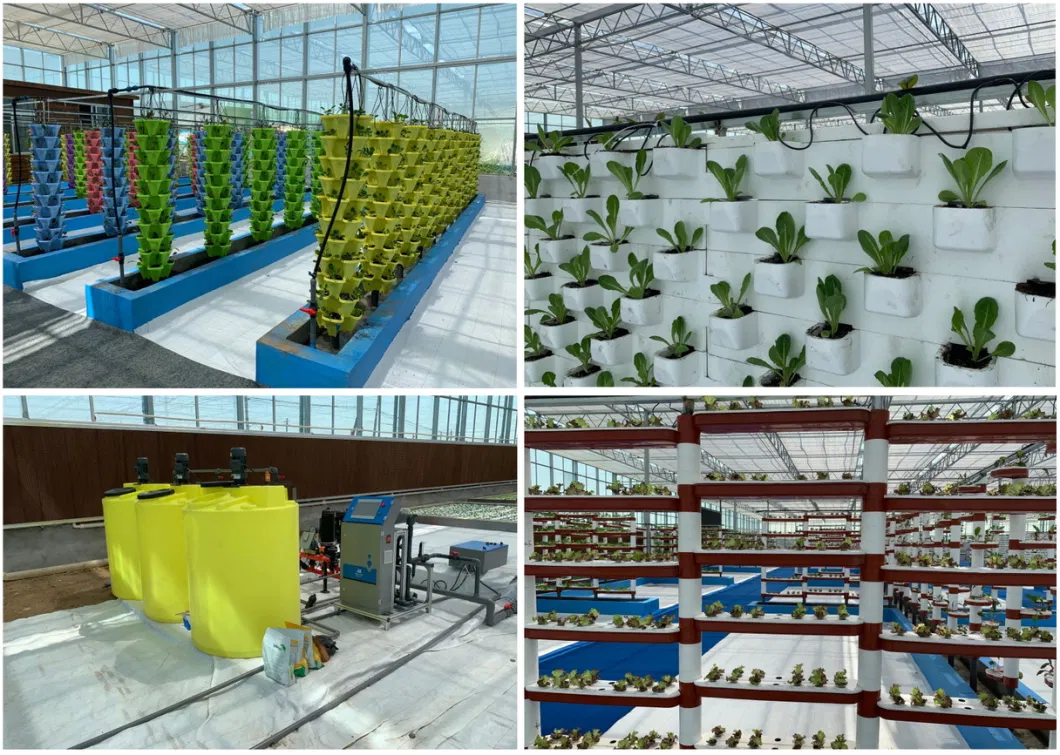 Tunnel Multi-Span Plastic Film Greenhouses Hydroponic Systems