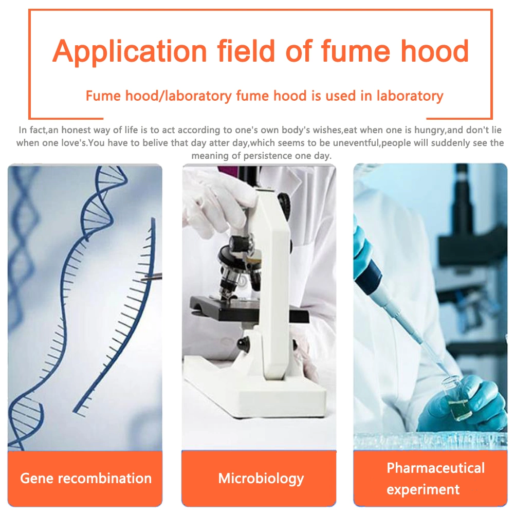 Ventilation Cabinet (SW-TFG-15) Fume Hood