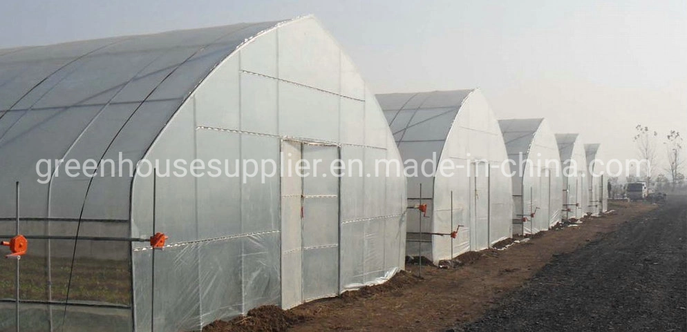 New Agricultural High Tunnel Indoor Hydroponic System for Sale