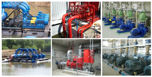 Dewatering Pump High Efficiency End Suction Centrifugal Diesel Water Pump