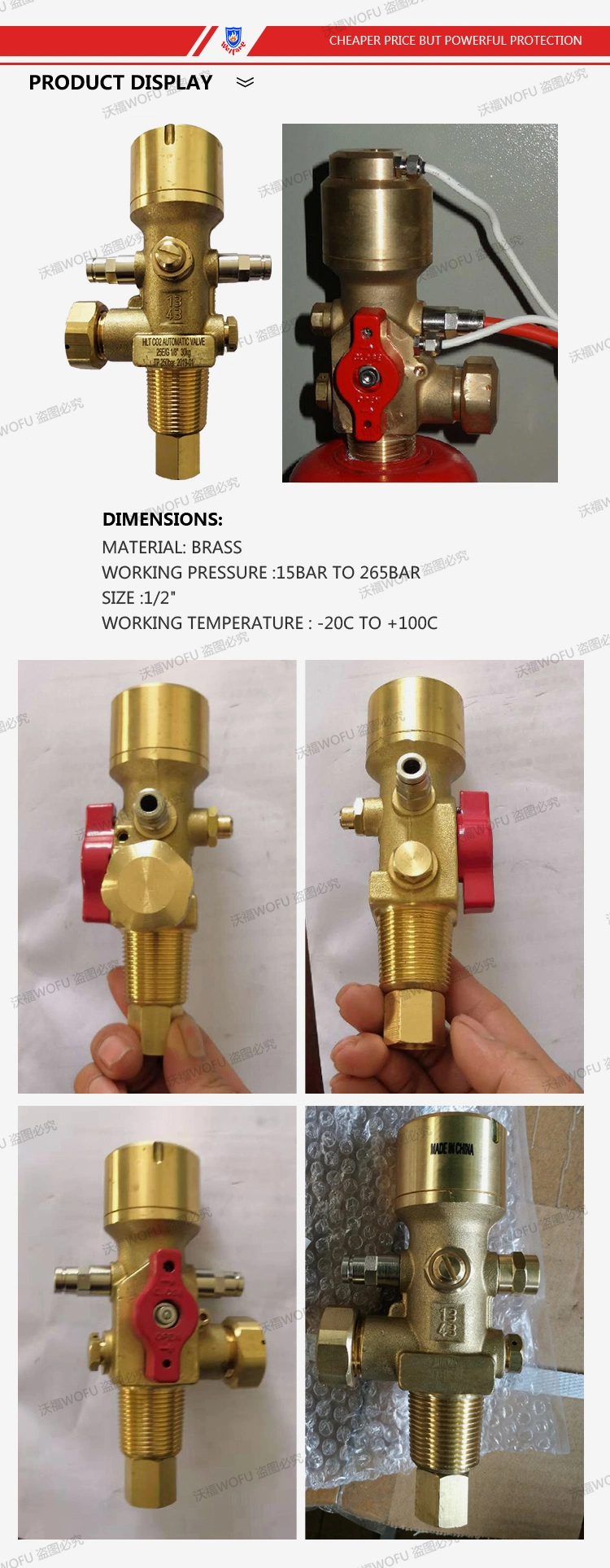 CO2 Brass Fire Suppression Trace Valve