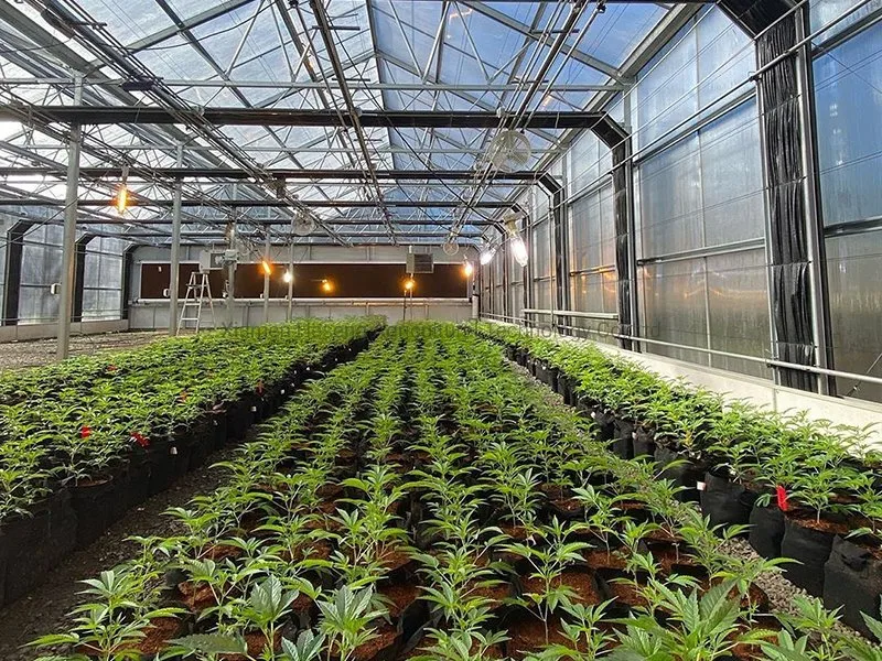 Fully Automated Light Deprivation Greenhouses DEP Greenhouse Blackout System