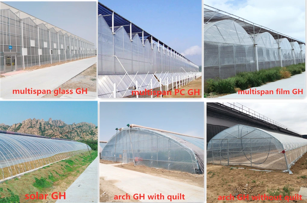 Good Quality Film Covered Customized Big Tunnel Greenhouse with Automatic Fertilizer and Irrigation System