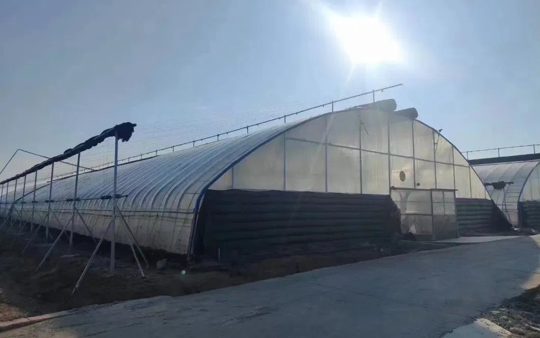 Commercial Greenhouse Film Greenhouse and Cooling System