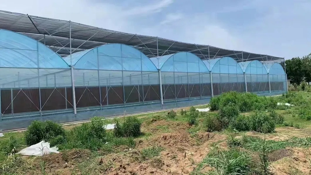 Commercial Greenhouse Film Greenhouse and Cooling System