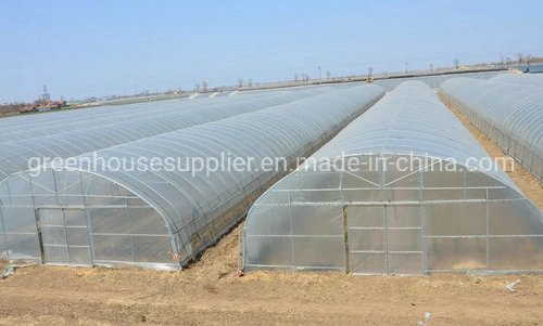 New Agricultural High Tunnel Indoor Hydroponic System for Sale