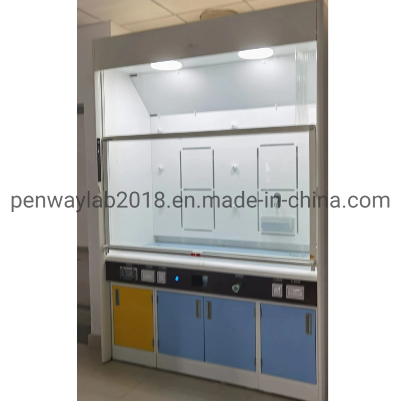 Painted Acid Alkali Experiment Fume Hood with Gas Treatment System
