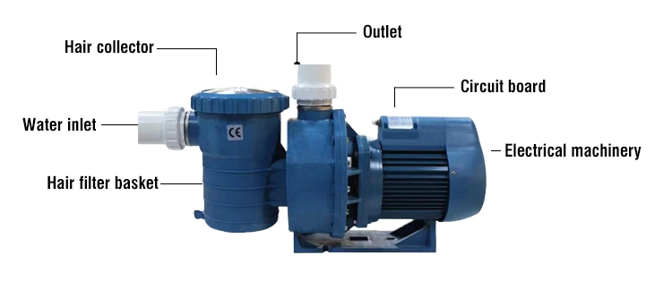 Circulation Filter Pool Water Pump Swimming Pool Centrifugal Pump Hot Selling