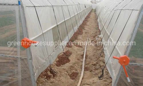 New Agricultural High Tunnel Indoor Hydroponic System for Sale