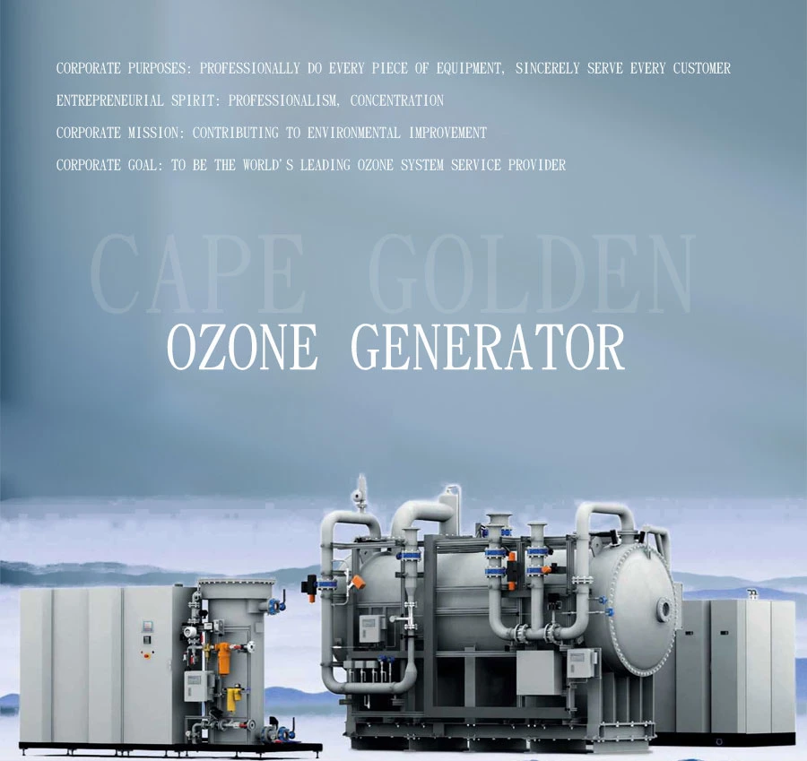 Steam Machine Medical for Bathtub Whole House Ozone Generator Process Flow