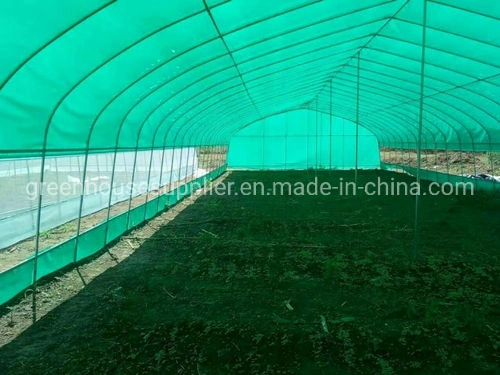 New Agricultural High Tunnel Indoor Hydroponic System for Sale