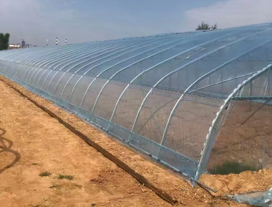 Commercial Greenhouse Film Greenhouse and Cooling System