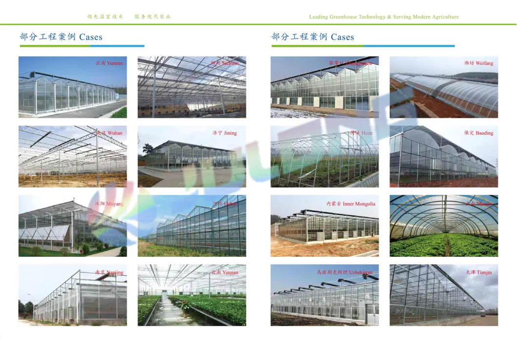 Agricultural Tunnel Greenhouse Have Hydroponic Growing System