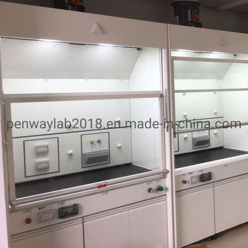 Painted Acid Alkali Experiment Fume Hood with Gas Treatment System