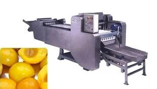 Canned Fruit Pickles Processing Line Fruit Pickling Bottling Machines in System PLC