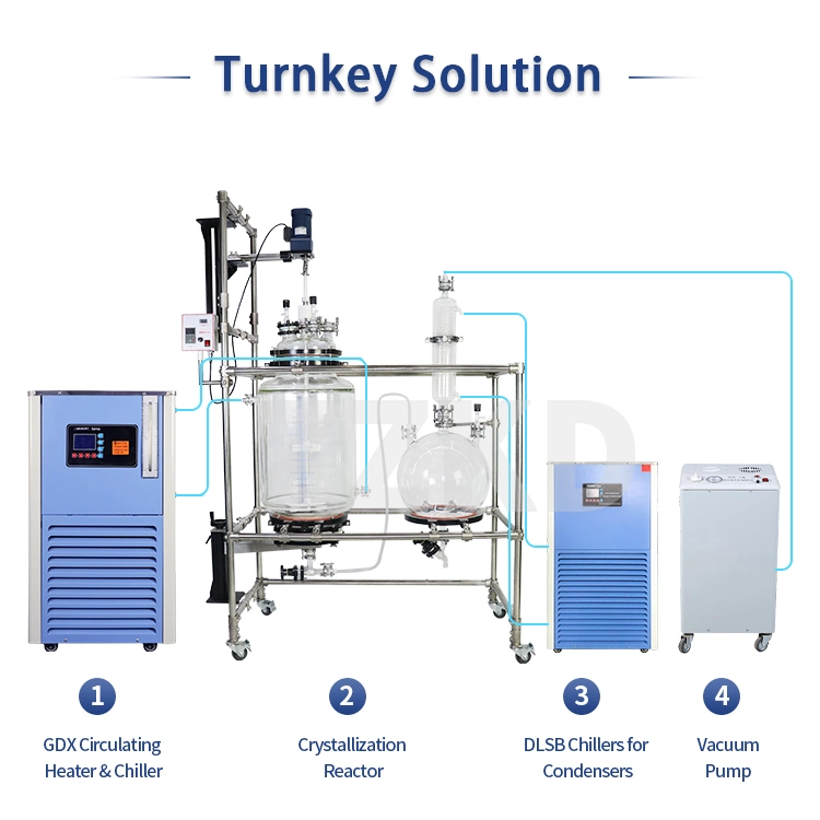 100L Glass Crystallization Reactor Multi-Function Glass Mixing Crystallization Reactor Tank Price