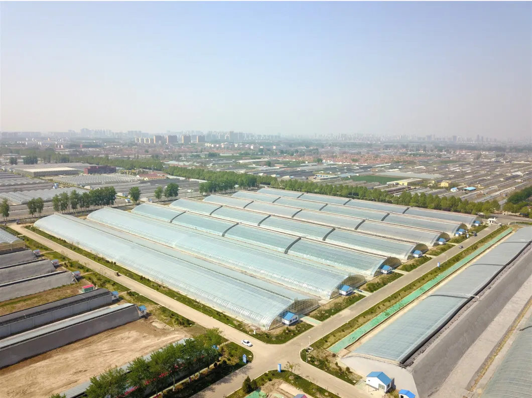 Prefabricated Tunnel Greenhouse with Thick Quilt and Automatic Reeling Device for Grapes/Cherry/Peach/Fruit Trees Planting