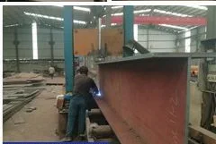 Modern Bridge/Factory/Warehouse/Shopping Mall Steel Structure Engineering Construction