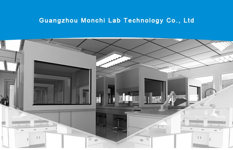 Professional All Steel Structure Lab Fume Hood