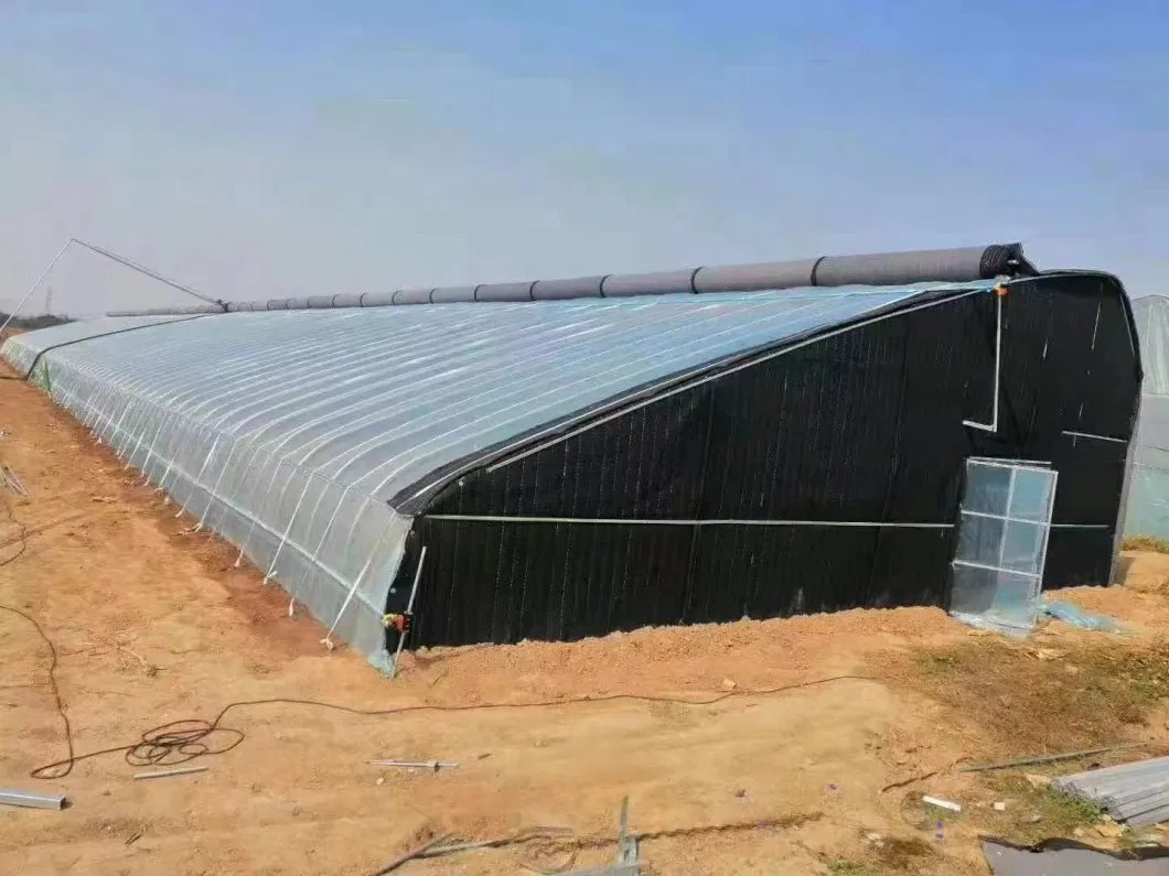 Commercial Greenhouse Film Greenhouse and Cooling System