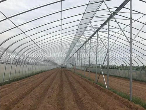 New Agricultural High Tunnel Indoor Hydroponic System for Sale