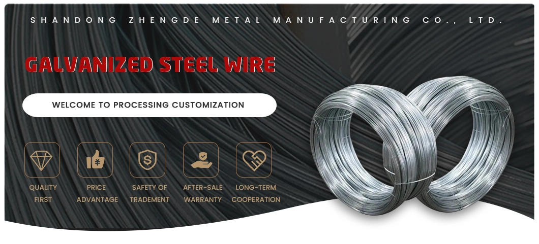 Hot Selling Hot DIP Galvanized Steel Wire Zinc Coated Steel Wire Rod