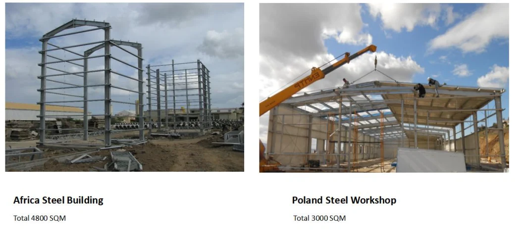 Hot Sale Steel Structure to Dubai