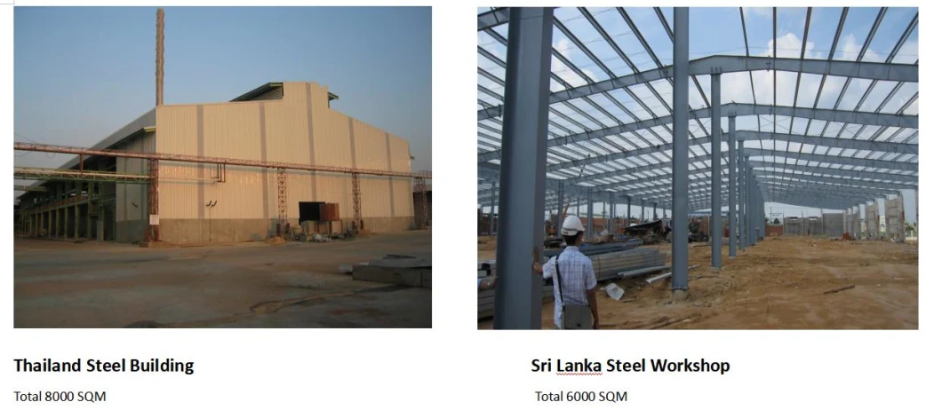Prefabricated Steel Cattle House Steel Building Warehouse Workshop Steel Structure