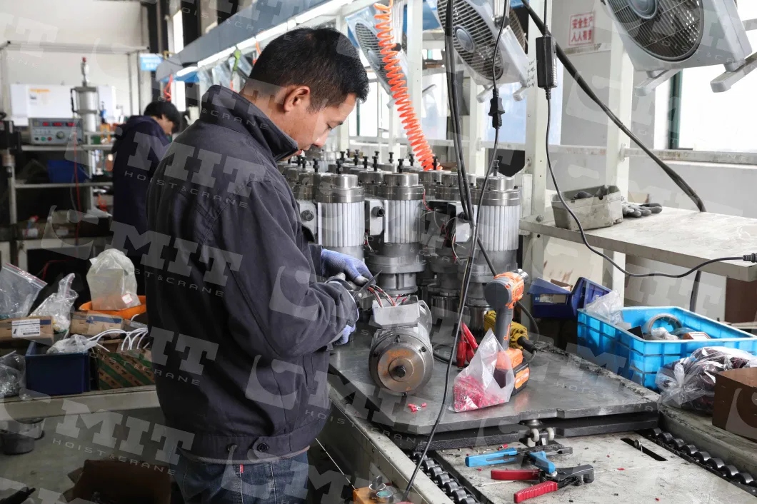 Manual Chain Hoist Manufacturer Lifting System