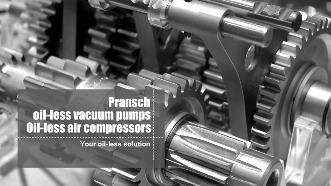 Small Mini Oil Free Piston Rocking Oilless Vacuum Pump for Automobile Exhaust Gas Analyzers
