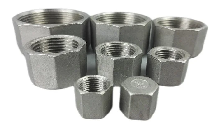 China Factory NPT BSPT Threaded Cast Stainless Steel Hexagon End Cap