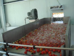 Canned Fruit Pickles Processing Line Fruit Pickling Bottling Machines in System PLC