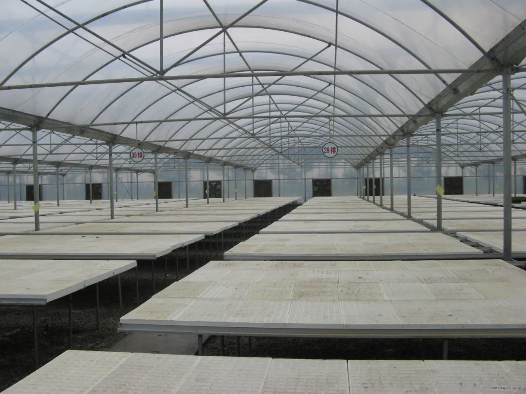 Inside Shading System for Greenhouse Project Made in China