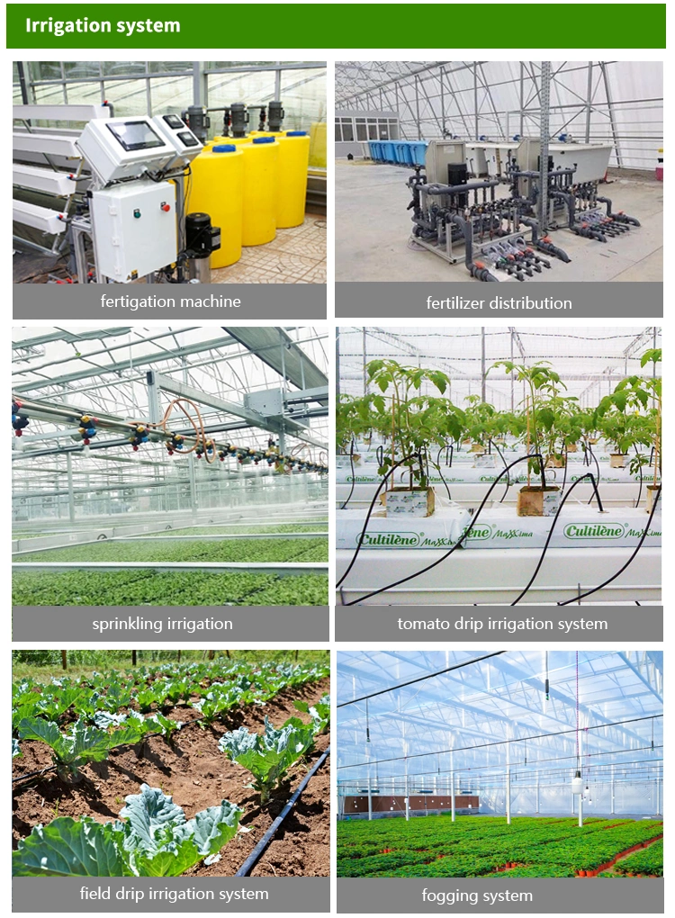 Commercial Multi-Span Tunnel Plastic Film Greenhouse Hydroponics Growing System for Tomatoes Cucumbers