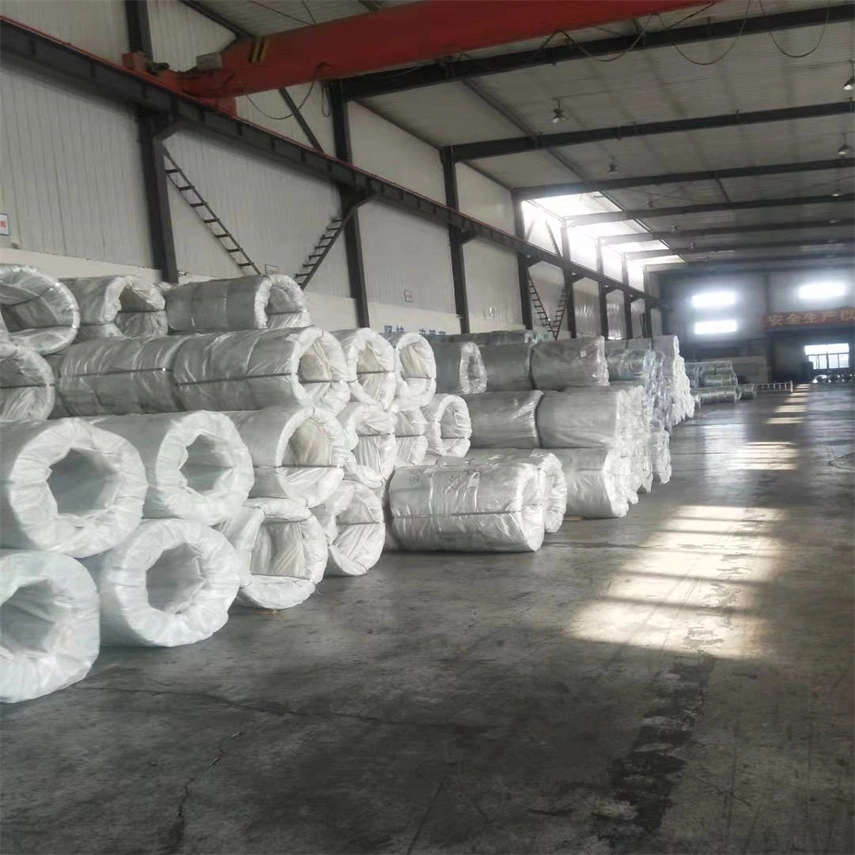 Factory Directly Supply Galvanized Steel Wire Rod for Making Nail