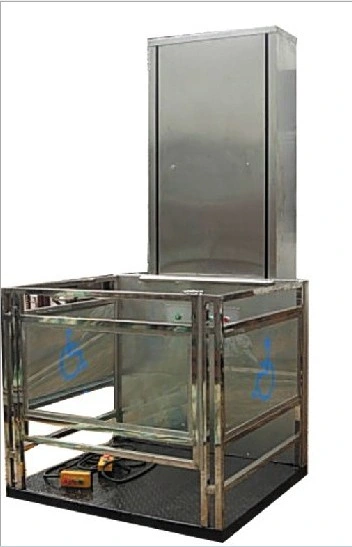 Disabled Wheelchair Lifting System with Glass Protection