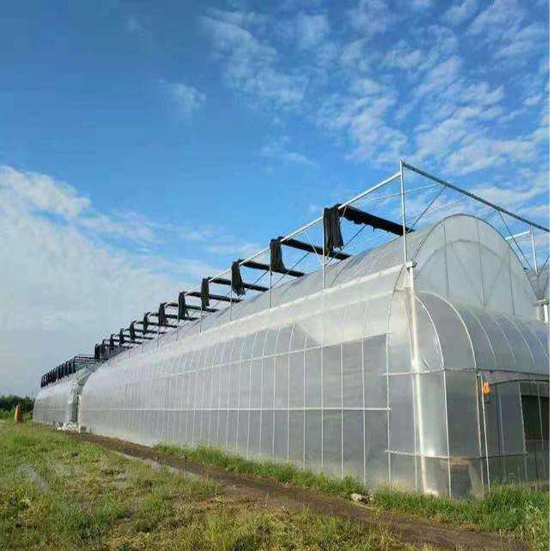Agriculture Greenhouse Sprinkler Irrigation Systems