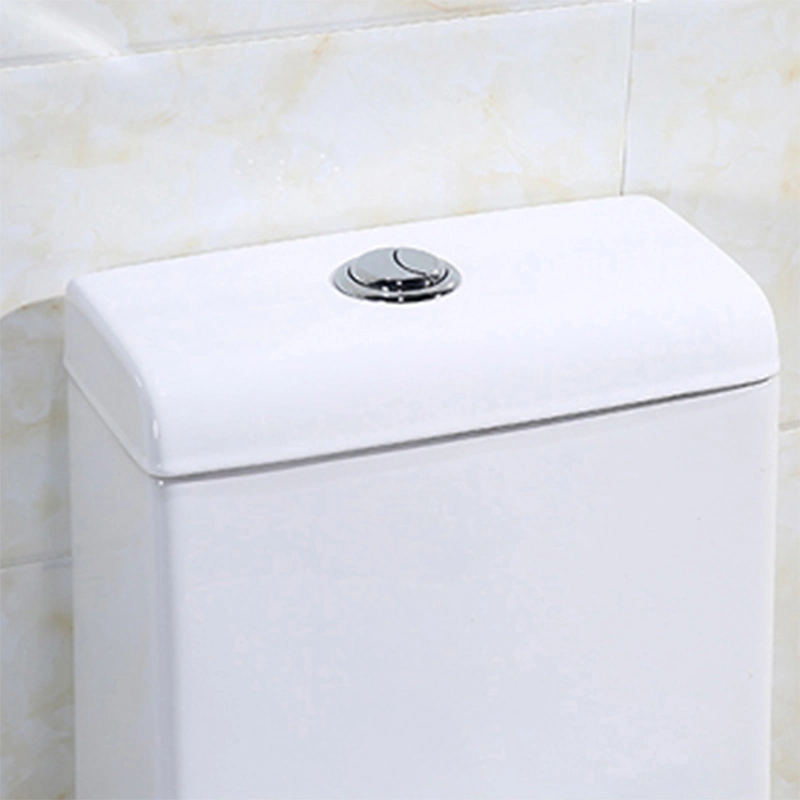 Chinese Wc Commode One Piece Dual Flush Toilet with Concealed Tank Dual-Flush