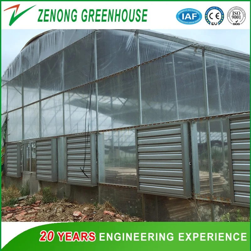 Greenhouse a-Frame Hydroponic System with Substrate for Vertical Farming for Strawberry/Leafy Vegetables