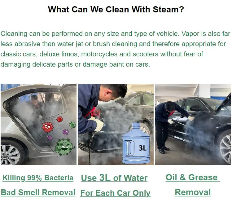 CE Certified Steam Car Washer Deodorizing Sterilizing 20L Water Tank 220V with 2 Steam Guns