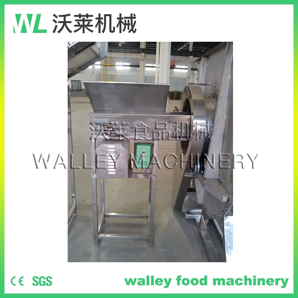 High Rebuy Industrial Vegetables and Fruits Drying and Pickling Spt-S Spiral Type Hot Water Blanching Machine