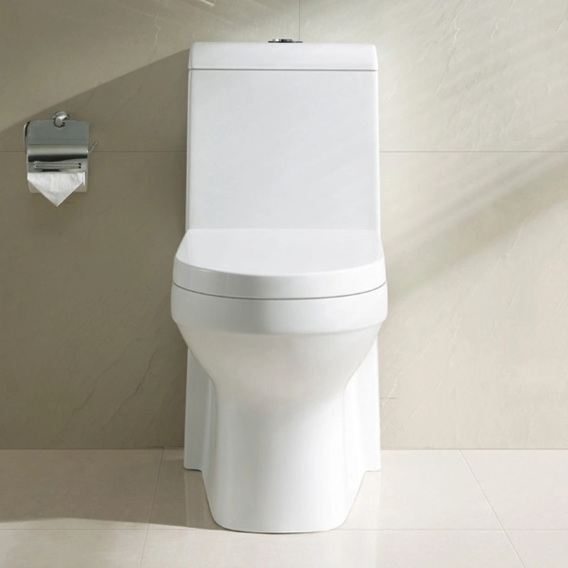Chinese Wc Commode One Piece Dual Flush Toilet with Concealed Tank Dual-Flush