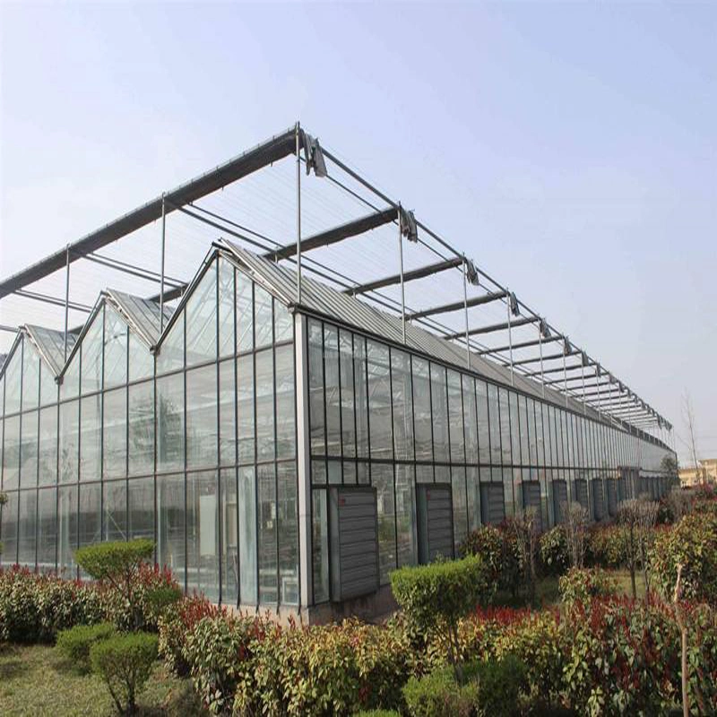 Greenhouse Modern Technology Sprinkler System