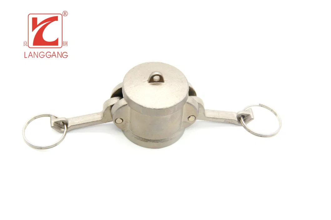 High Quality 304 Stainless Steel Casted BSPT/NPT Type-DC Thread Dust Cap Camlock