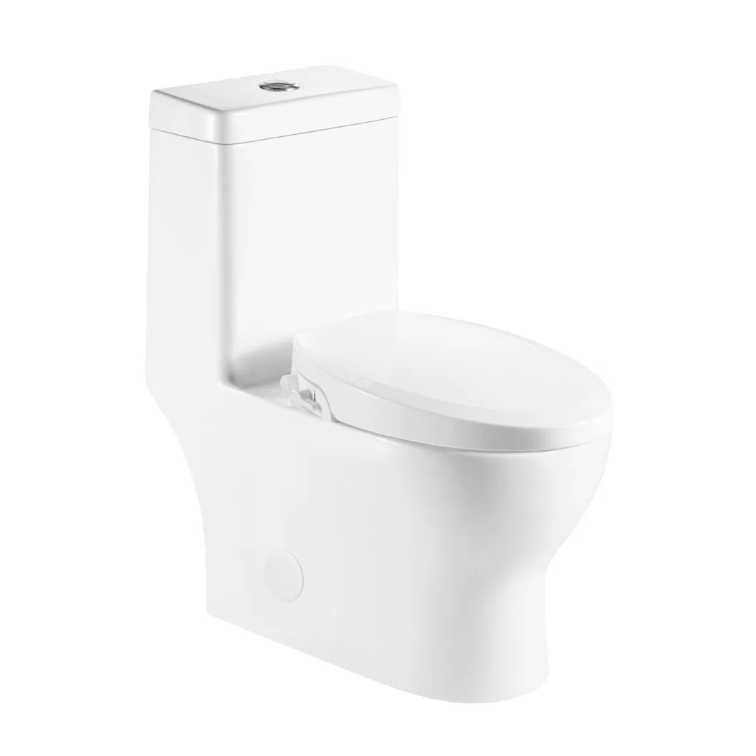 Wc Back to Wall Bottom Outlet Bathroom White Porcelain Ceramic Skirted Water-Saving Dual-Flush Elongated One-Piece Toilet Tank with Toilet Seat and Bowl