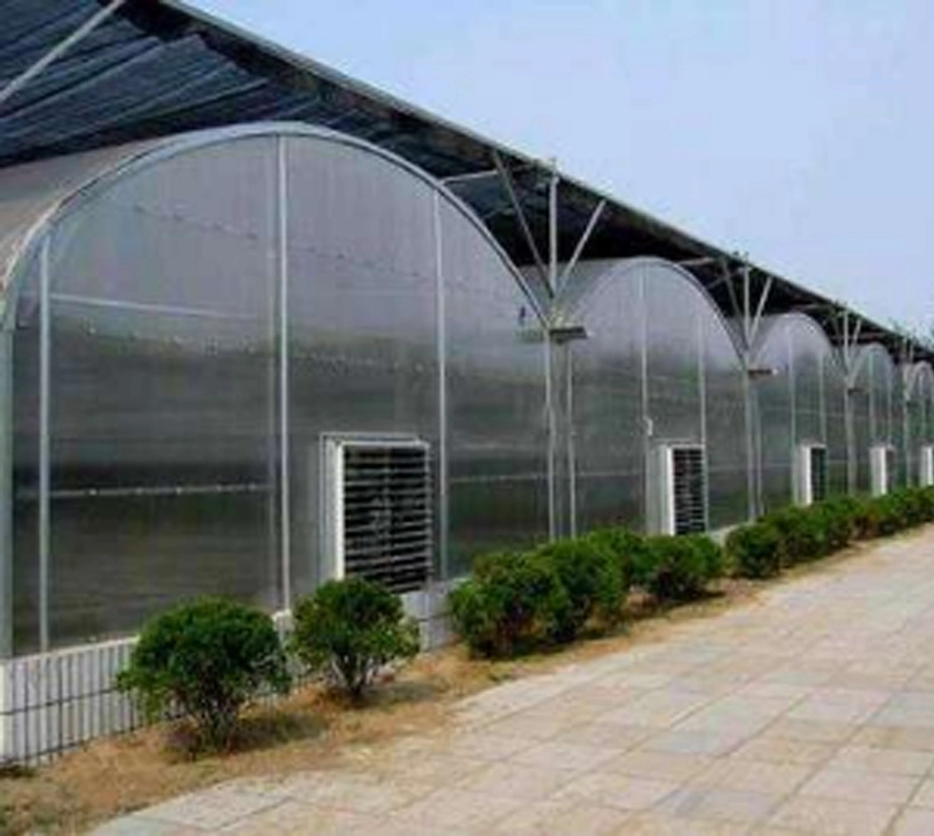 Greenhouse Modern Technology Sprinkler System